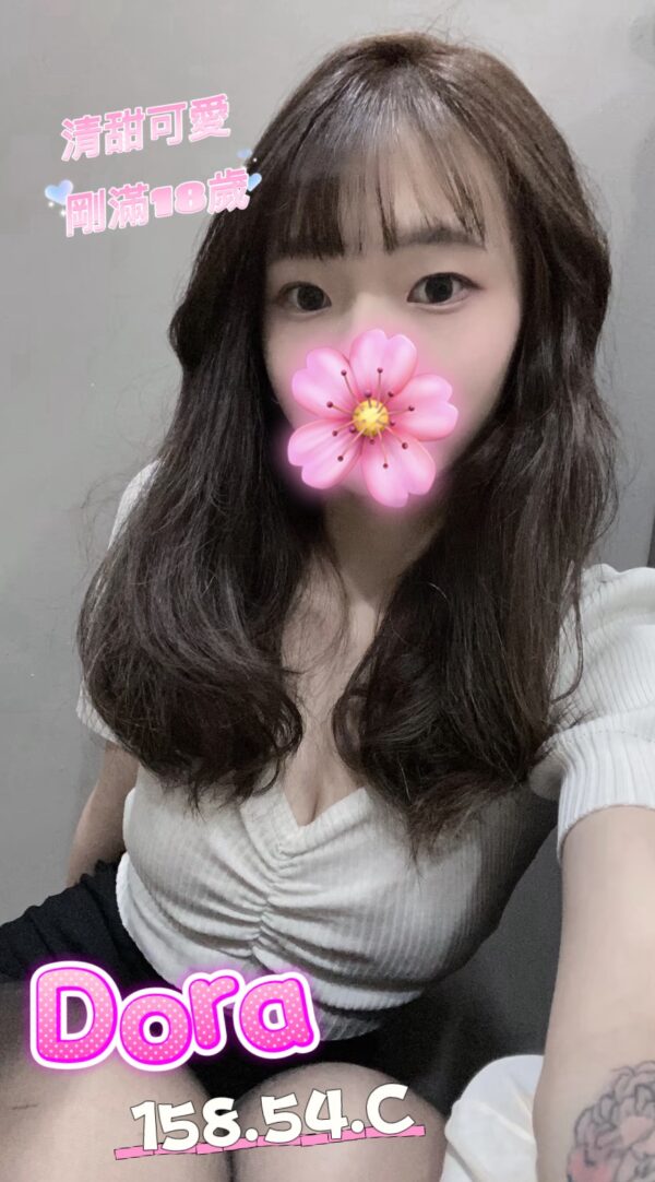 寶可夢：Dora